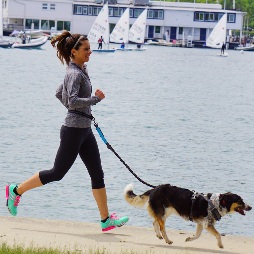 Hand Free Dog Leash for Pet Wa - Running Gear Holder avis et prix