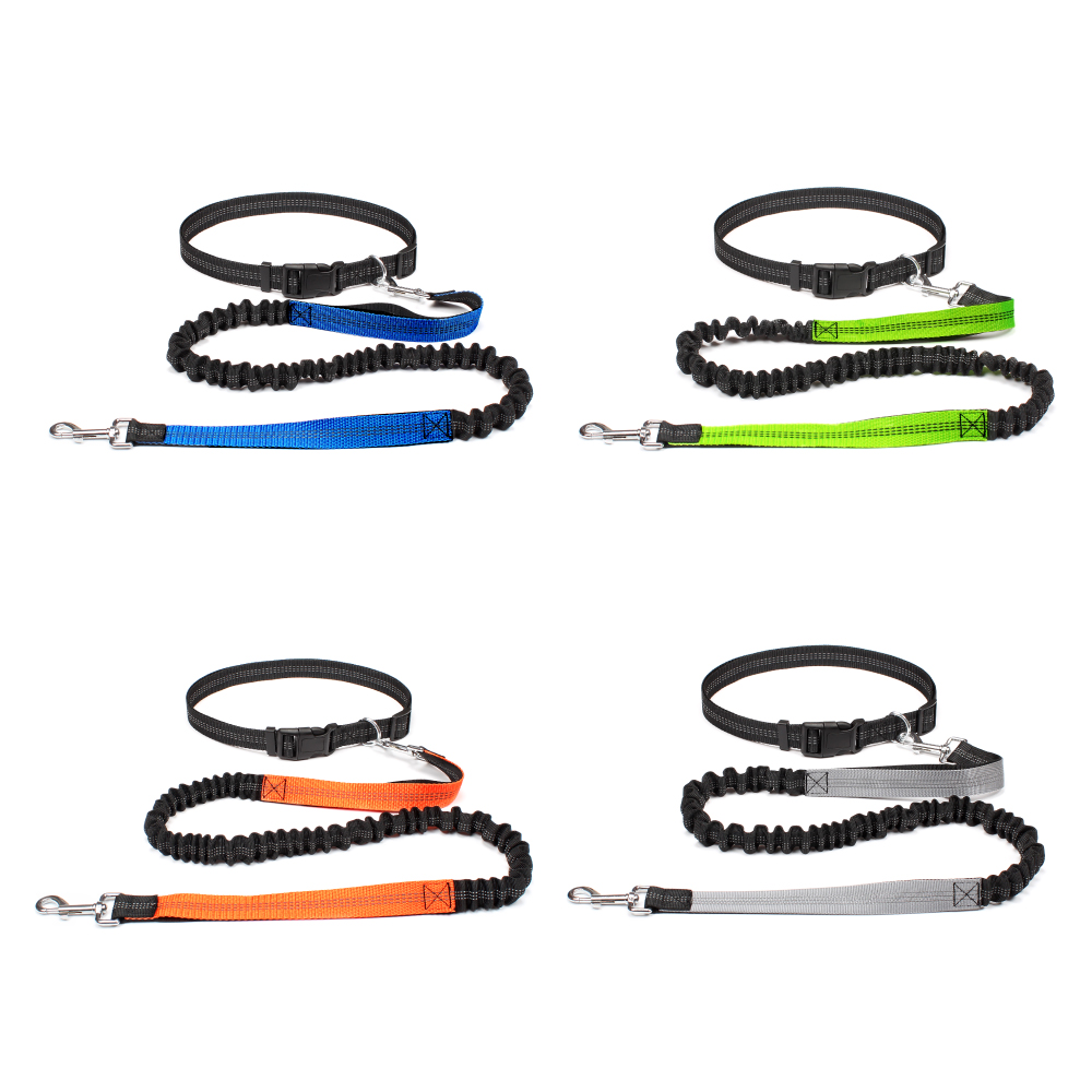 Hand Free Dog Leash for Pet Wa - Running Gear Holder avis et prix