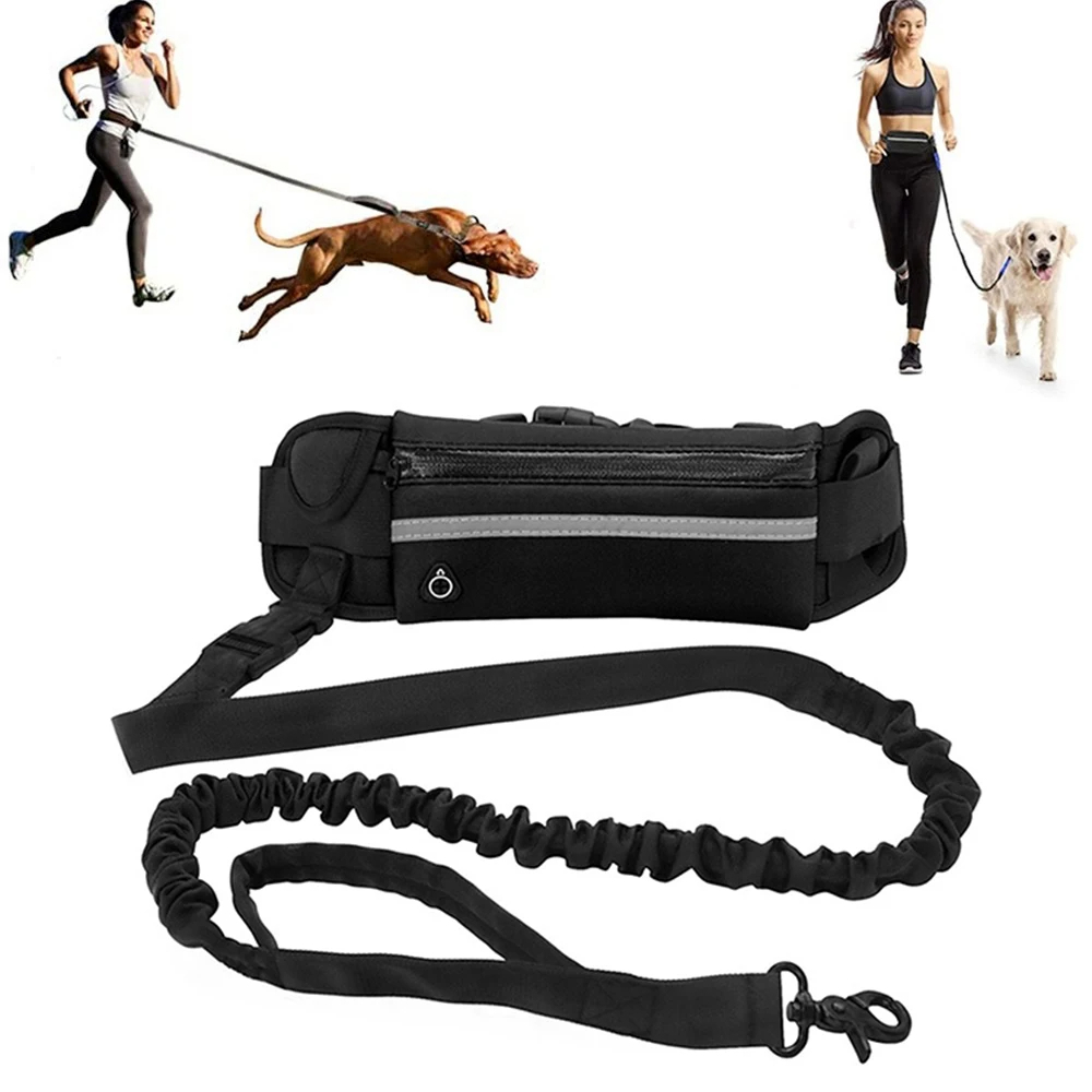 Pet Leash Pet Supplies Hands-F - Running Gear Holder avis et prix