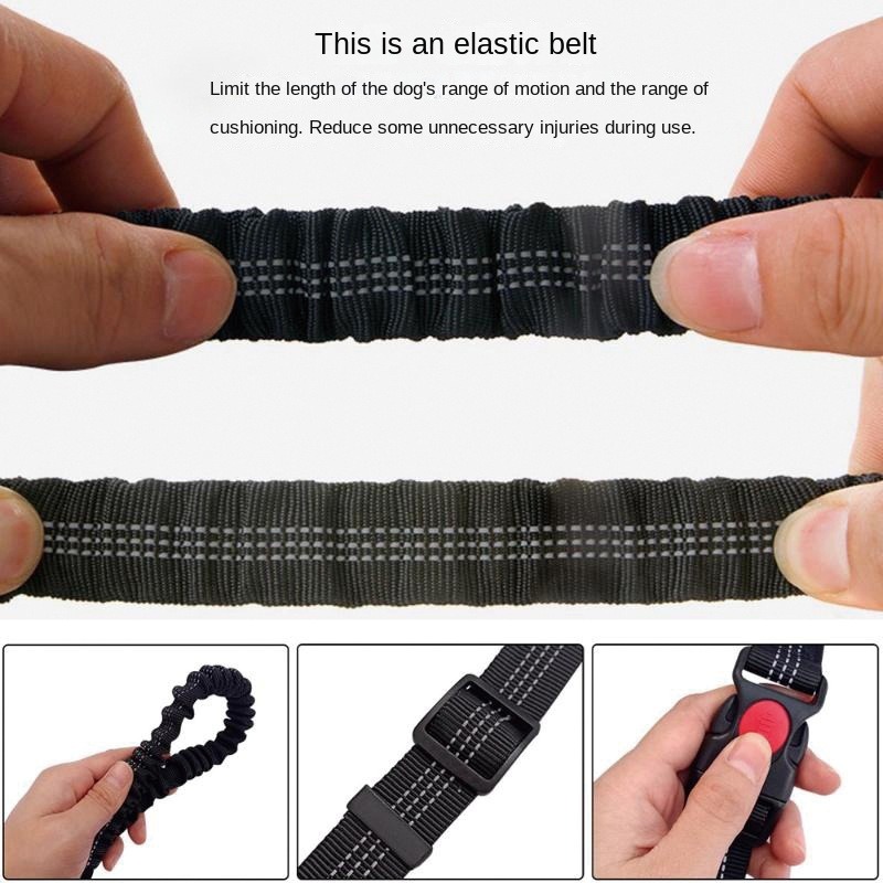 Hand Free Dog Leash for Pet Wa - Running Gear Holder avis et prix