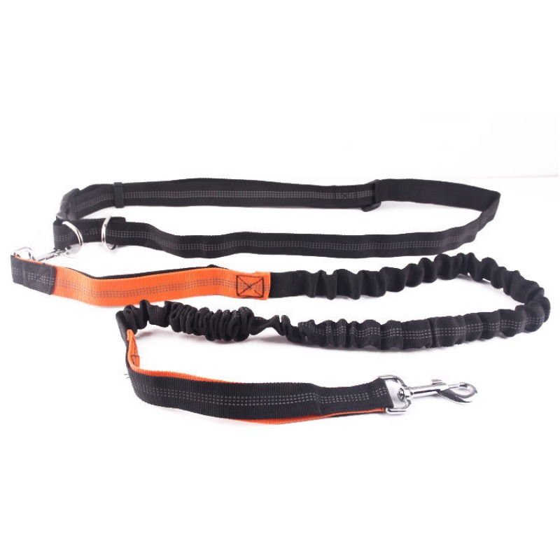 Hand Free Dog Leash for Pet Wa - Running Gear Holder avis et prix