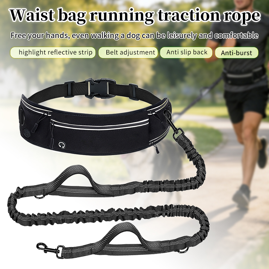 Foldable Reflective Dog Leash  - Running Gear Holder avis et prix